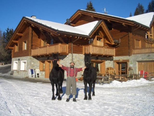 발디소토 Agriturismo Chalet Caribona 빌라 외부 사진